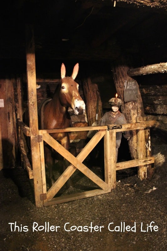 Mules in the Mine
