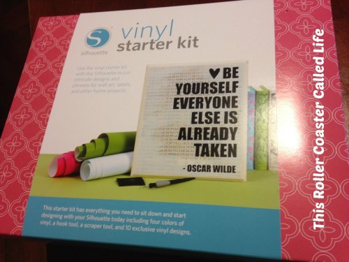 Vinyl Starter Kit