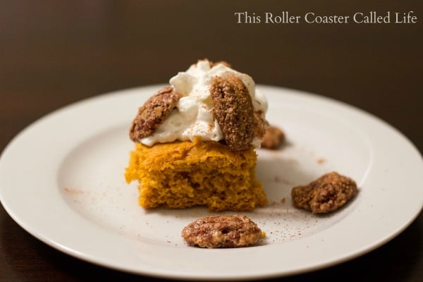 Homemade Pumpkin Bars with Candied Pecan topping-2