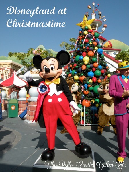 Disneyland at Christmastime