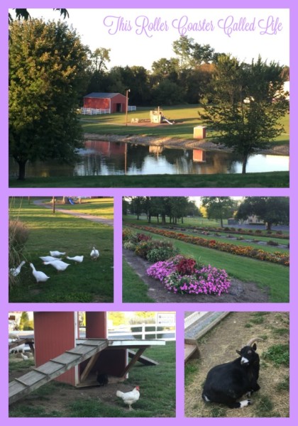 Hershey Farm Restaurant and Inn Outdoor Spaces