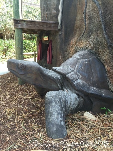 Brevard Zoo Turtle