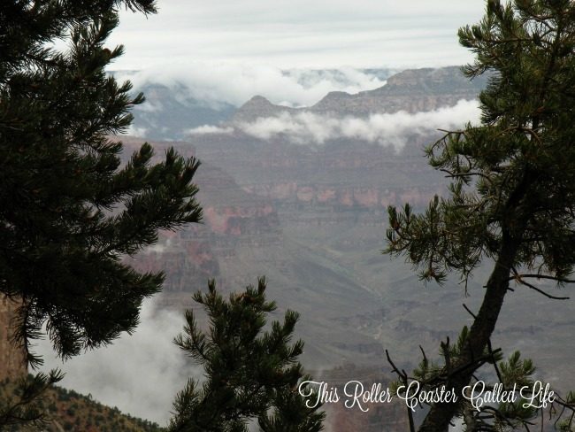 Grand Canyon in the Fog
