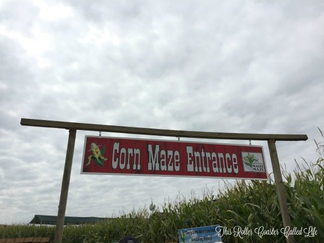 Cherry Crest Adventure Farm Corn Maze